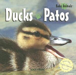 Ducks/Patos by Alice Twine