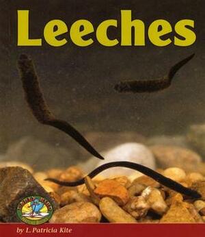 Leeches by L. Patricia Kite