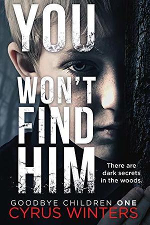 You Won't Find Him by Cyrus Winters