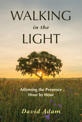 Walking in the Light: Affirming the Presence Hour by Hour by David Adam