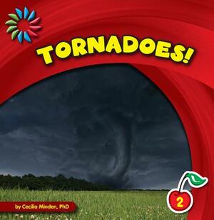 Tornadoes! by Cecilia Minden