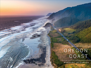 Oregon Coast by Barbara Tricarico