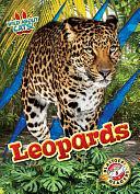 Leopards by Alicia Z Klepeis