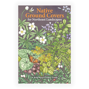 Native Ground Covers for Northeast Landscapes by Heather McCargo, Anna Fialkoff