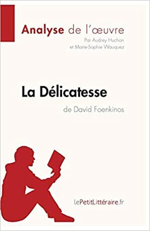 La Délicatesse de David Foenkinos by le Petit Littéraire
