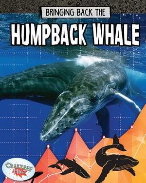 Bringing Back the Humpback Whale by Paula Smith