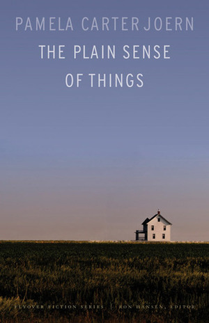 The Plain Sense of Things by Pamela Carter Joern