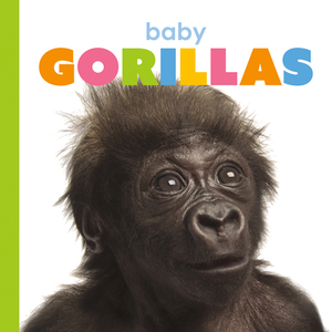 Baby Gorillas by Kate Riggs