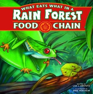 What Eats What in a Rain Forest Food Chain by Lisa J. Amstutz