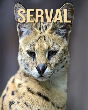 Serval: Amazing Facts & Pictures by Jessica Joe