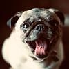 ehinds314's profile picture