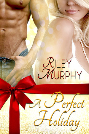 A Perfect Holiday by Riley Murphy