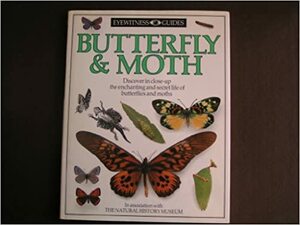 Butterfly & Moth by Paul Ernest Sutton Whalley