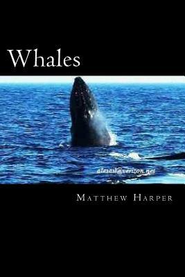 Whales: A Fascinating Book Containing Whale Facts, Trivia, Images & Memory Recall Quiz: Suitable for Adults & Children by Matthew Harper