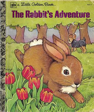 The Rabbit's Adventure by Maggie Swanson, Betty Ren Wright