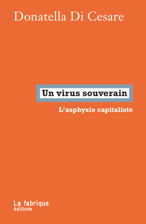 Un virus souverain: l'asphyxie capitaliste by Donatella Di Cesare
