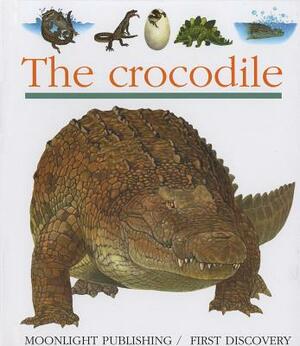 The Crocodile by Sylvaine Peyrols