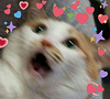 charly's profile picture