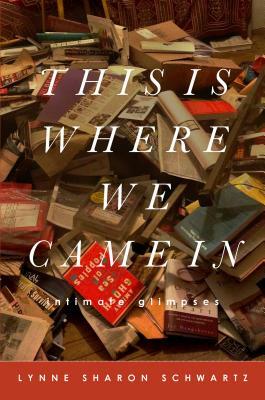 This Is Where We Came in by Lynne Sharon Schwartz