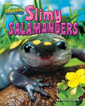 Slimy Salamanders by Meish Goldish