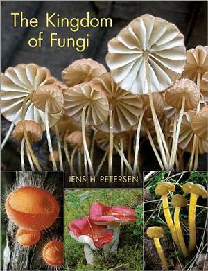 The Kingdom of Fungi by Jens H. Petersen