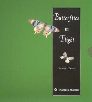 Butterflies in Flight by Roger Camp