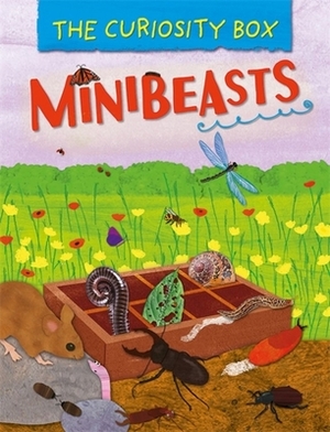 The Curiosity Box: Minibeasts by Peter Riley