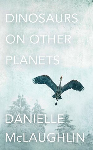Dinosaurs On Other Planets by Danielle McLaughlin