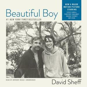 Beautiful Boy: A Father's Journey Through His Son's Meth Addiction by David Sheff