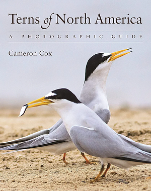 Terns of North America: A Photographic Guide by Cameron Cox