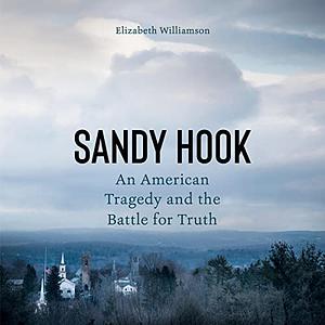 Sandy Hook: An American Tragedy and the Battle for Truth by Elizabeth Williamson
