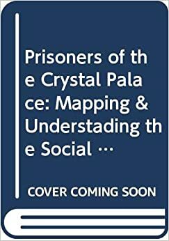 Prisoners Of The Crystal Palace: Mapping & Understanding The Social And Cognitive Organization Of Scientific Research Fields by Peter Stern