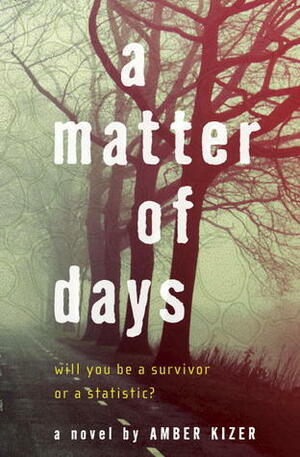 Matter of Days by Amber Kizer