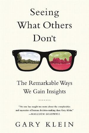 Seeing What Others Don't: The Remarkable Ways We Gain Insights by Gary Klein