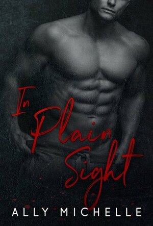 In Plain Sight (In Sight, #1) by Ally Vance, Ally Michelle, Michelle Brown