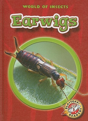 Earwigs by Colleen Sexton