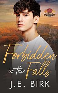Forbidden in the Falls by J.E. Birk