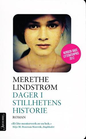 Dager i stillhetens historie by Merethe Lindstrom