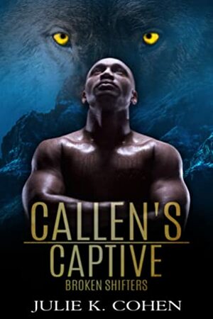 Callen's Captive by Julie K. Cohen