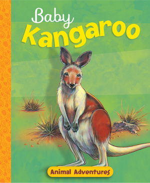 Baby Kangaroo by Jennifer Boudart