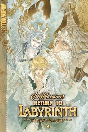 Return to Labyrinth Vol. 2 by Jake T. Forbes