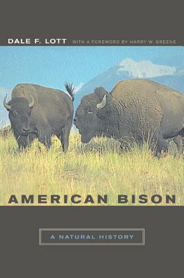 American Bison: A Natural History by Dale F. Lott