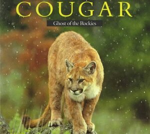 Cougar: Ghost of the Rockies by Karen McCall, Jim Dutcher