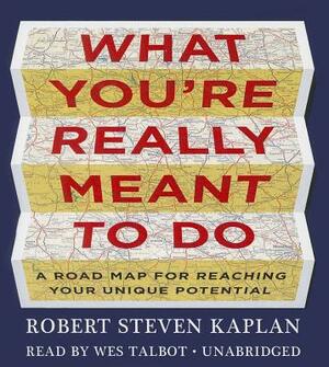 What You Re Really Meant to Do: A Road Map for Reaching Your Unique Potential by Robert Steven Kaplan