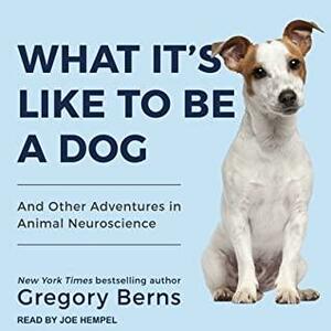 What It's Like to Be a Dog Lib/E: And Other Adventures in Animal Neuroscience by Gregory Berns