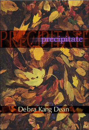 Precipitates by Debra Kang Dean