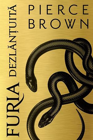 Furia Dezlănțuită by Pierce Brown