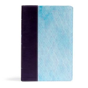 NKJV Daily Devotional Bible for Women, Purple/Blue Leathertouch by Holman Bible Staff