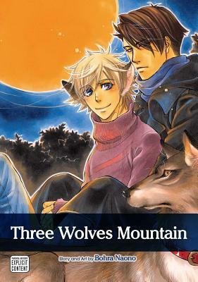 Three Wolves Mountain by Bohra Naono