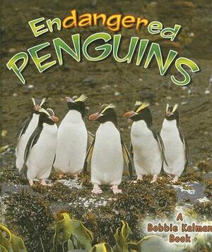 Endangered Penguins by Bobbie Kalman, Robin Johnson